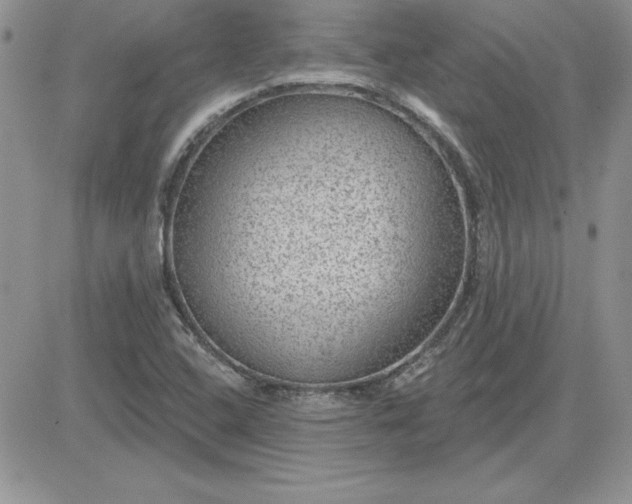 X0000081561408200701291138