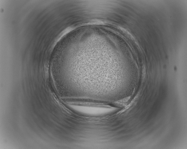 X0000081561409200701291138