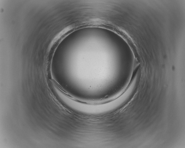 X0000081561410200701291138