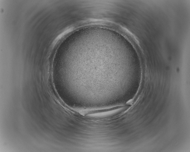 X0000081561411200701291138