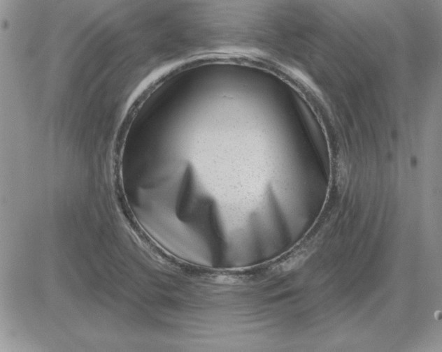 X0000081561412200701291138