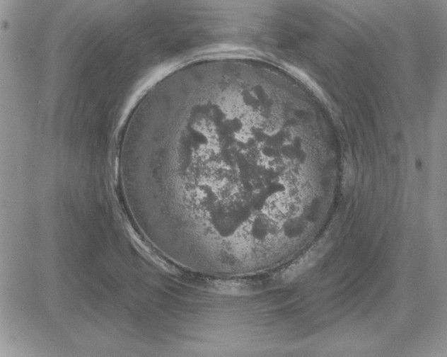 X0000081561413200701291138