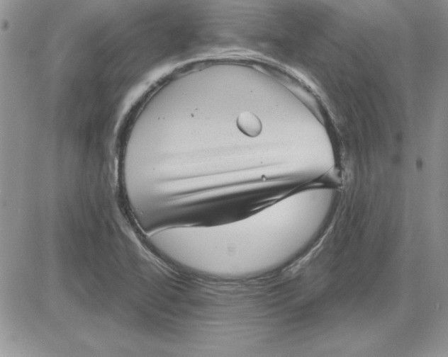 X0000081561414200701291138