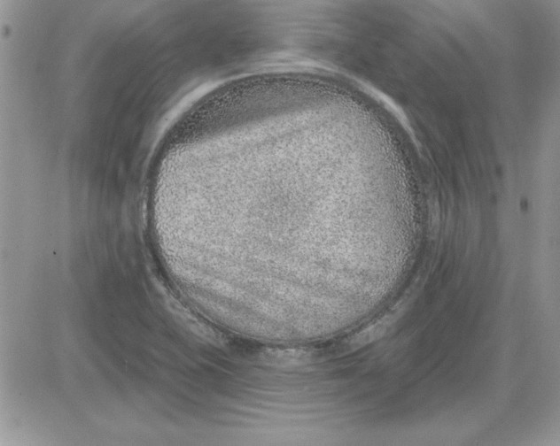 X0000081561415200701291138