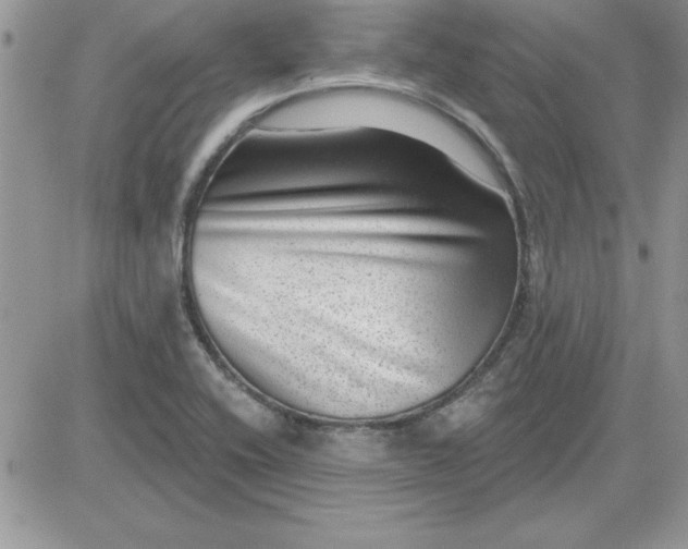 X0000081561416200701291138