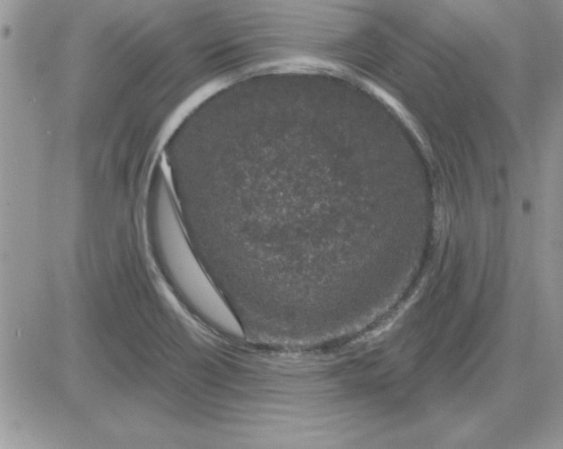 X0000081561418200701291138