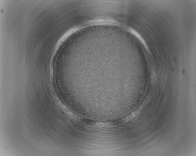 X0000081561419200701291138