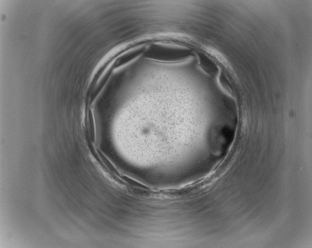 X0000081561420200701291138