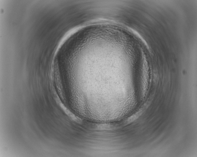 X0000081561421200701291138