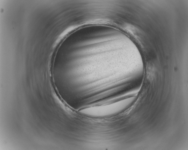 X0000081561422200701291138