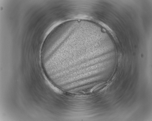 X0000081561423200701291138