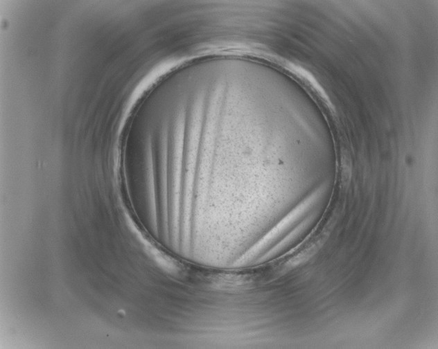 X0000081561424200701291138