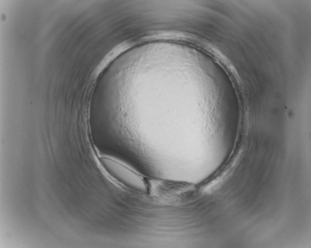 X0000081561425200701291138