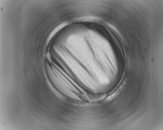 X0000081561426200701291138