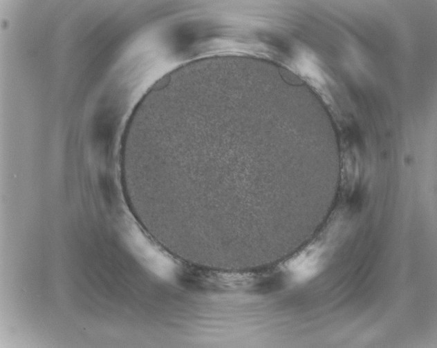 X0000081561427200701291138