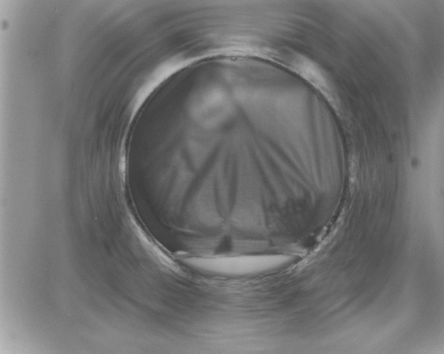 X0000081561428200701291138