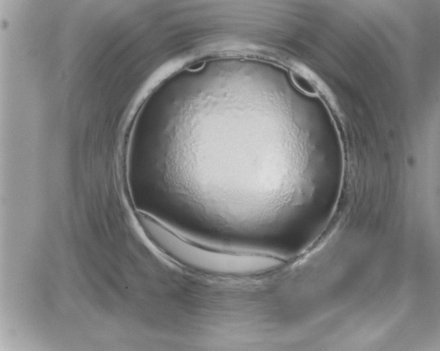 X0000081561429200701291138