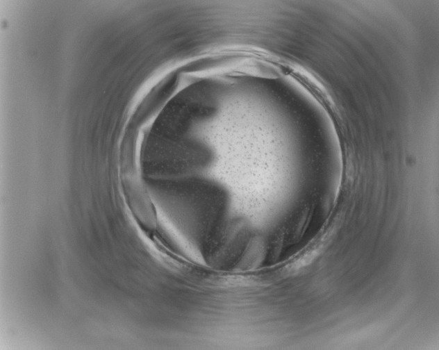 X0000081561430200701291138