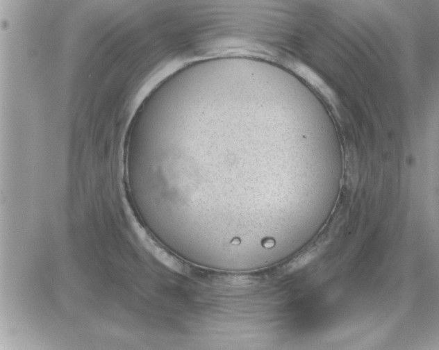 X0000081561431200701291138