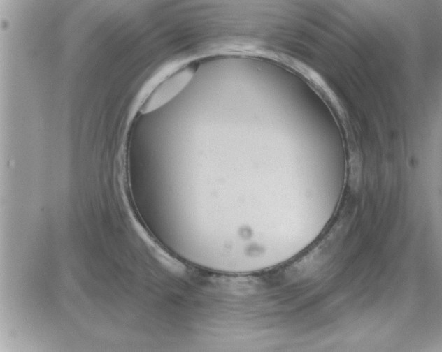 X0000081561432200701291138