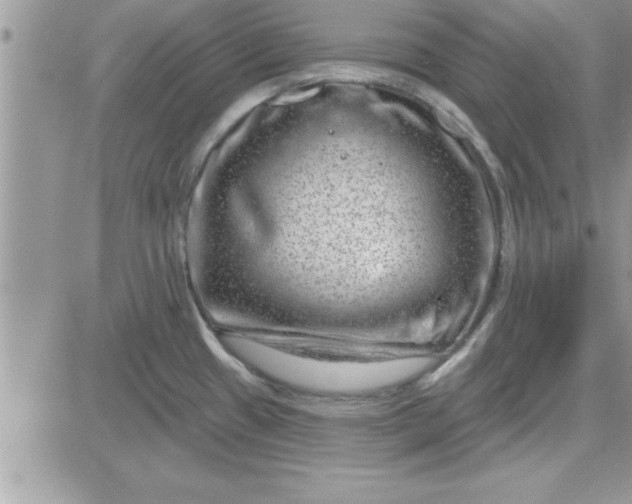 X0000081561433200701291138