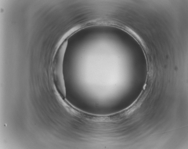 X0000081561434200701291138