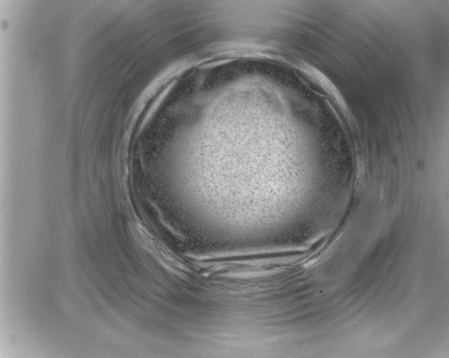 X0000081561435200701291138