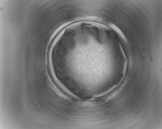 X0000081561436200701291138