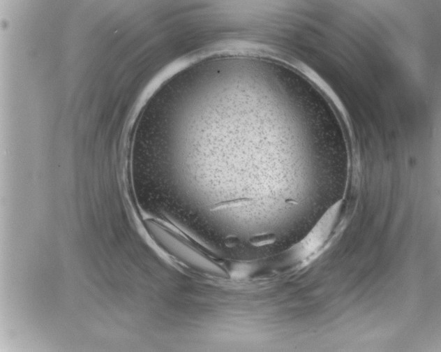 X0000081561437200701291138