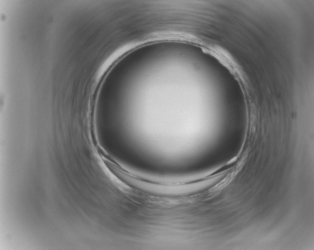 X0000081561438200701291138