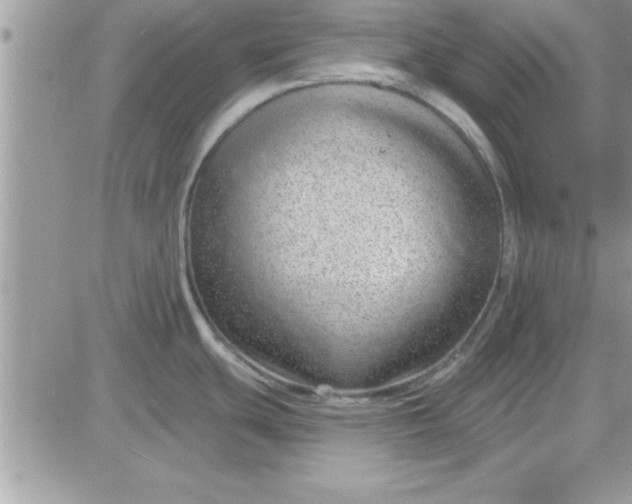 X0000081561439200701291138