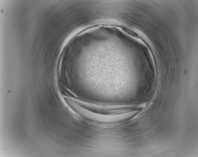 X0000081561440200701291138