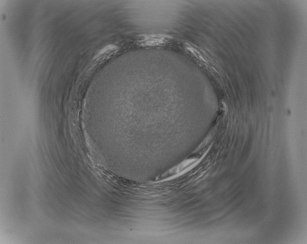 X0000081561441200701291138