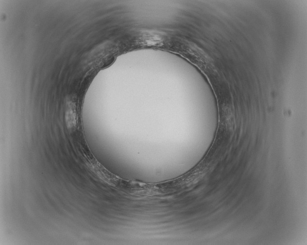 X0000081561442200701291138