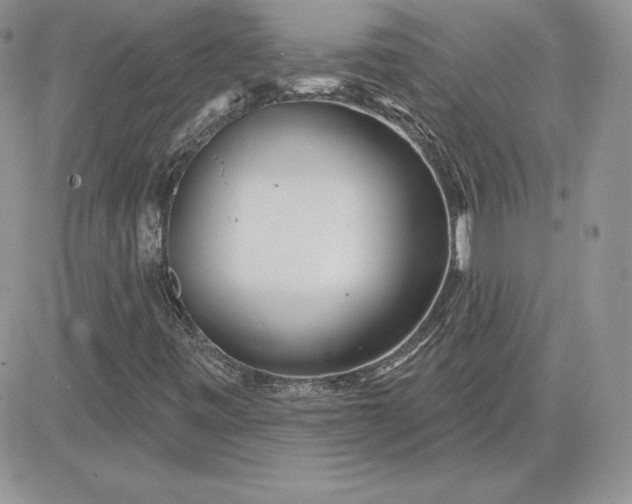 X0000081561443200701291138