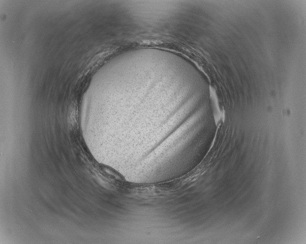 X0000081561444200701291138