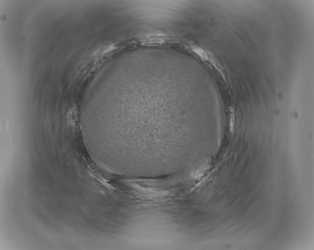 X0000081561445200701291138