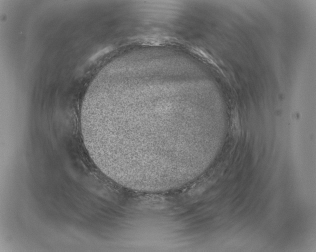 X0000081561446200701291138