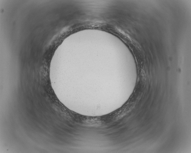 X0000081561447200701291138