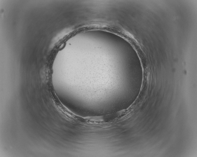 X0000081561448200701291138