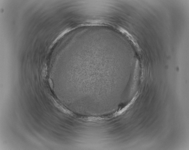 X0000081561449200701291138