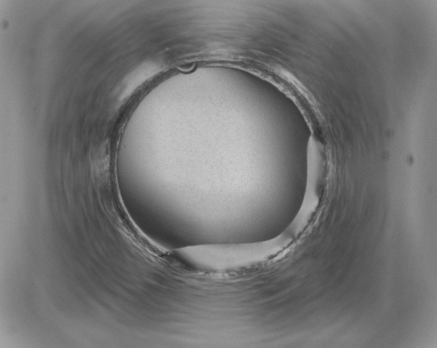 X0000081561450200701291138