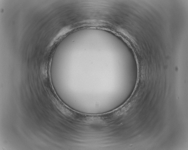 X0000081561451200701291138