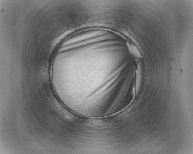 X0000081561452200701291137