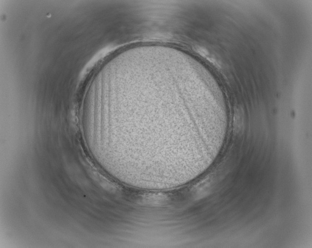 X0000081561454200701291137