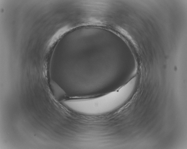 X0000081561455200701291137