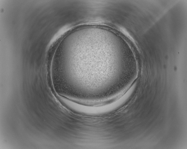 X0000081561456200701291137