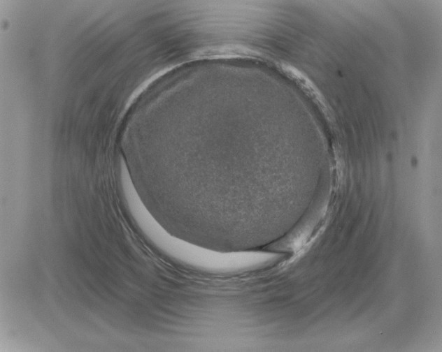 X0000081561457200701291137