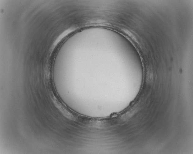 X0000081561458200701291137