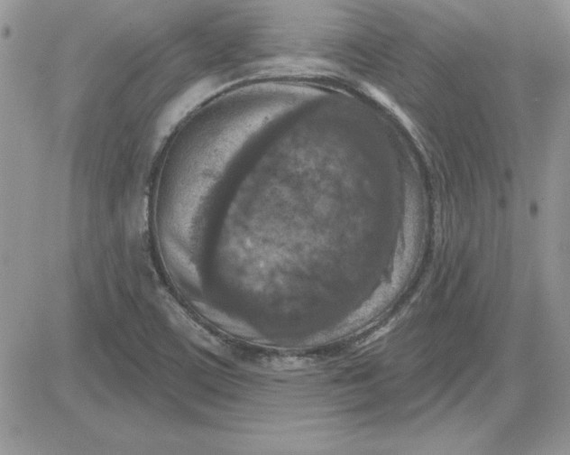 X0000081561459200701291137